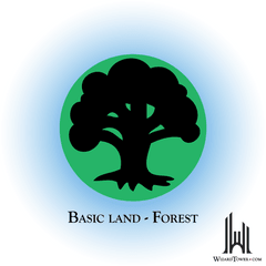 Basic Land - Non-Foil Forest (NM/SP)